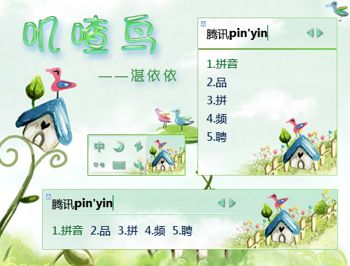 皮肤预览