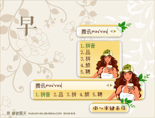 皮肤预览