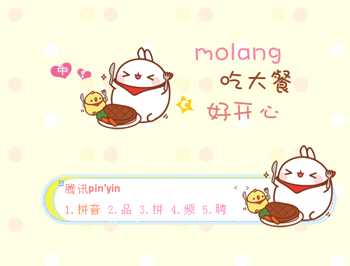 皮肤预览