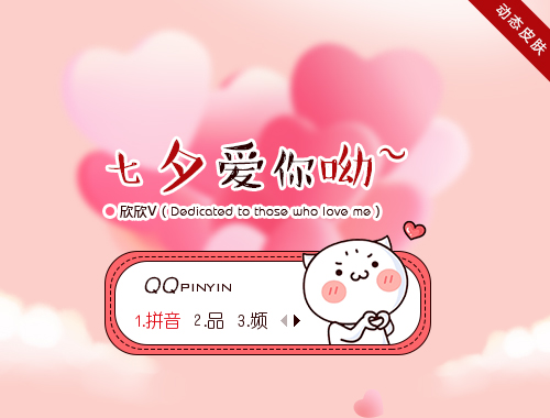 皮肤预览