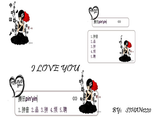 皮肤预览
