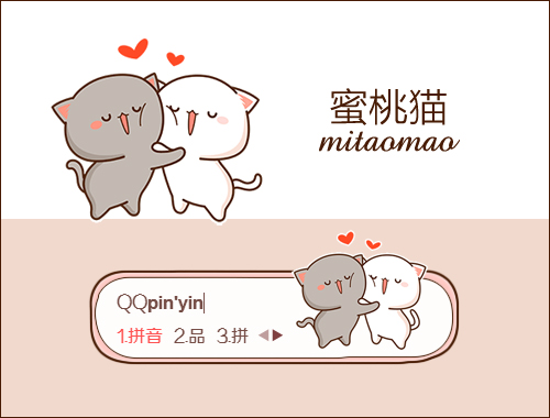 皮肤预览
