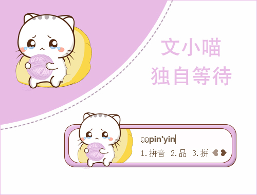 皮肤预览