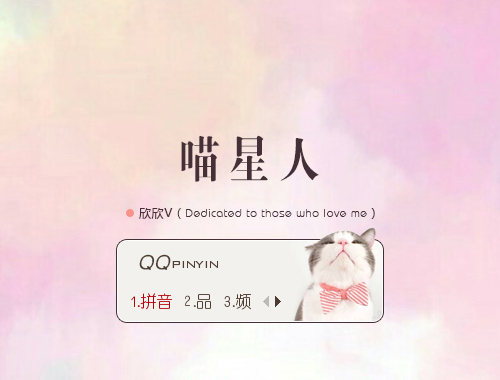 皮肤预览