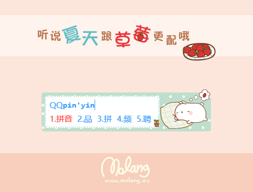 皮肤预览