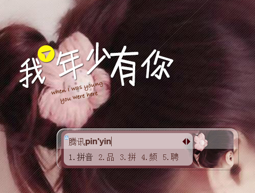 皮肤预览