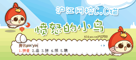 皮肤预览