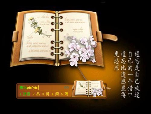 皮肤预览