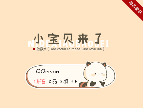 皮肤预览