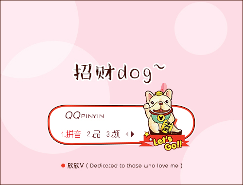 皮肤预览