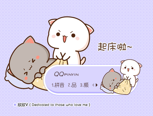 皮肤预览