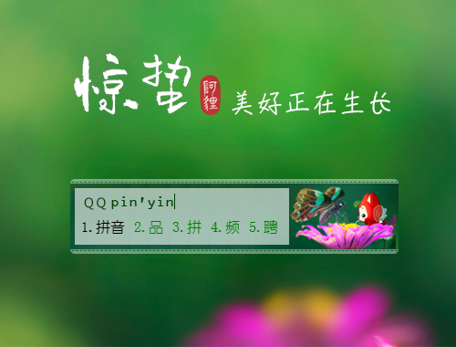 皮肤预览
