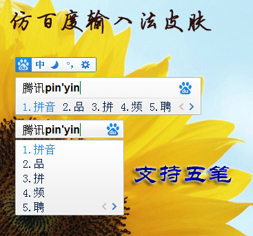 皮肤预览