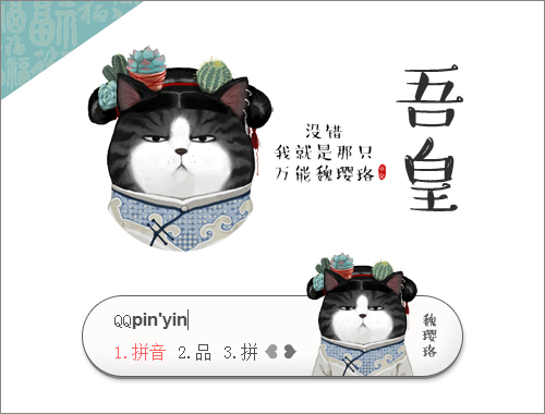 皮肤预览