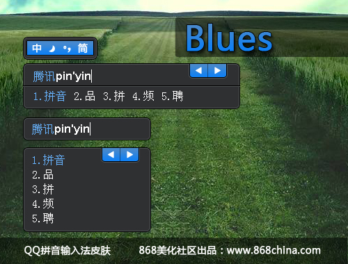 皮肤预览