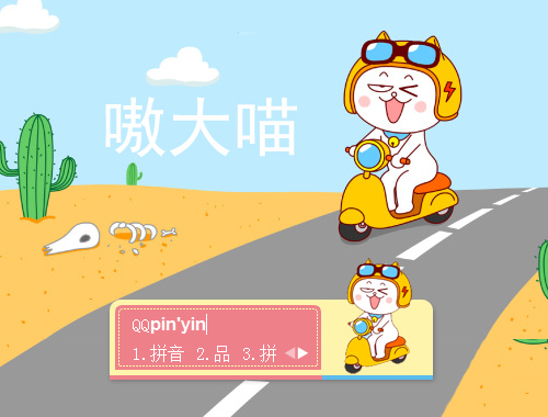 皮肤预览