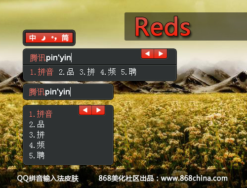 皮肤预览