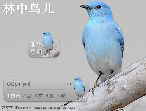皮肤预览