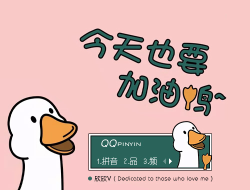 皮肤预览