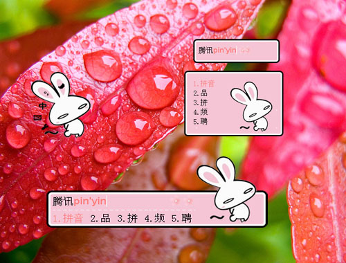 皮肤预览