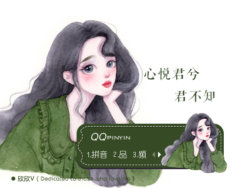 皮肤预览