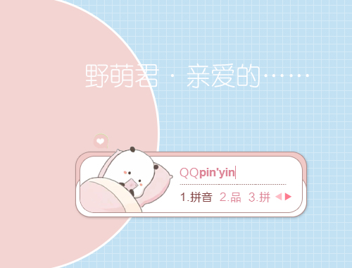 皮肤预览