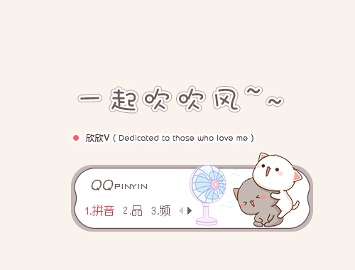 皮肤预览