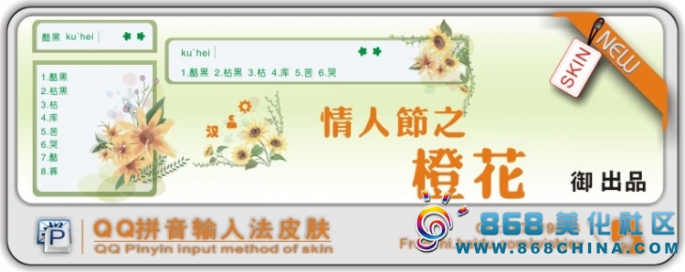 皮肤预览