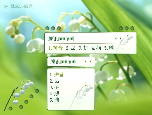 皮肤预览