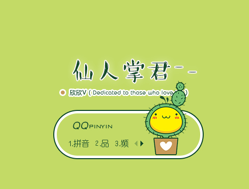 皮肤预览