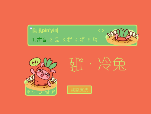 皮肤预览