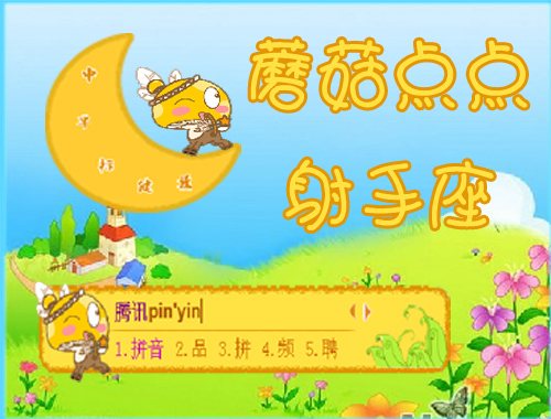 皮肤预览