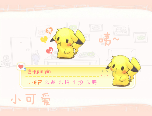 皮肤预览