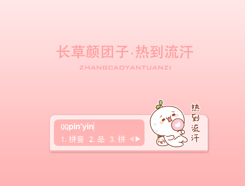 皮肤预览