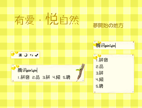 皮肤预览