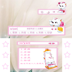 皮肤预览