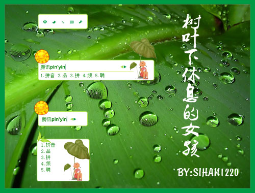 皮肤预览