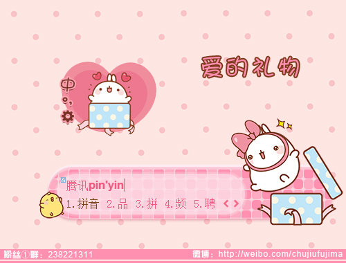 皮肤预览