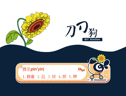 皮肤预览