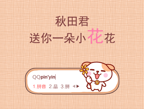 皮肤预览