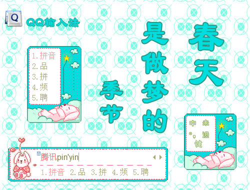 皮肤预览