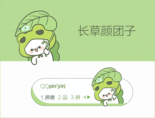 皮肤预览