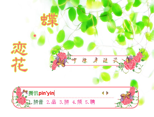 皮肤预览