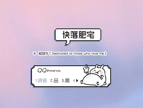 皮肤预览