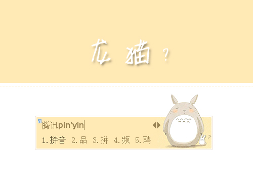 皮肤预览
