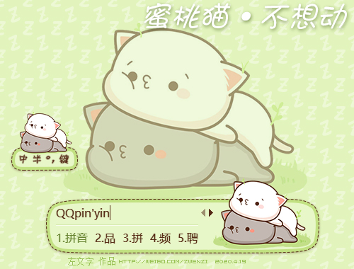 皮肤预览