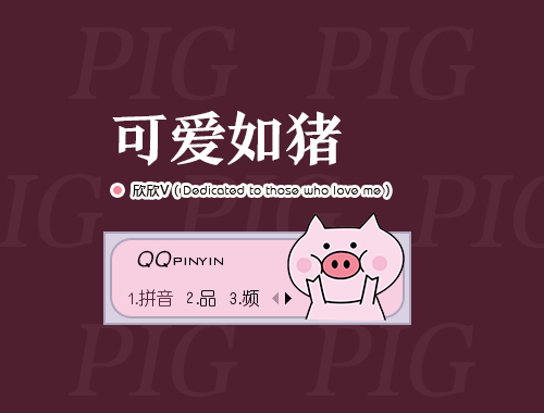 皮肤预览