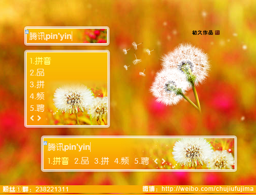 皮肤预览