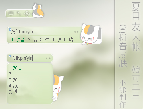 皮肤预览