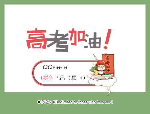 皮肤预览